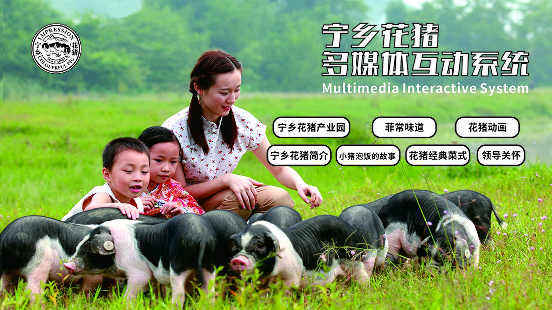麥格建站案例-寧鄉花豬首頁 麥格建站案例-寧鄉花豬首頁
