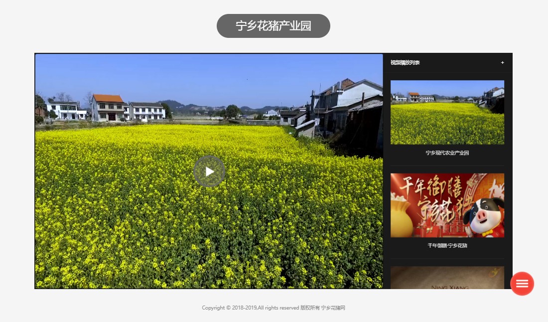 麥格建站案例-寧鄉花豬視頻展示